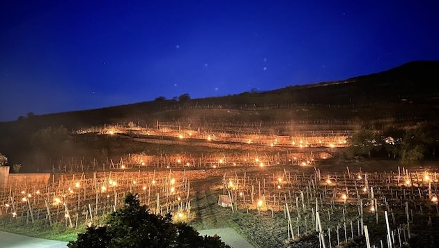 Die Weinberge in der Wachau „glühen“ in den Frostnächten (Bild: Franz-Josef Gritsch)