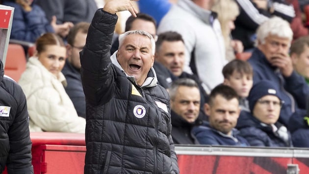 Coach Peter Pacult ist schon voll auf Mittwoch und Salzburg konzentriert. (Bild: GEPA pictures/ Gintare Karpaviciute)