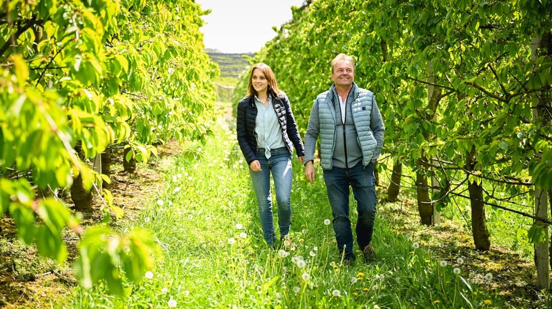 Ilse Schedlberger und Horst Hubmer streifen durch ihre saftig grünen Plantagen (Bild: Wenzel Markus)