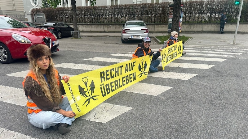 The activists were also active in Klagenfurt. (Bild: Jennifer Kapellari)