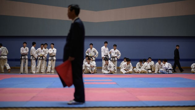 Aussteigerin: „Über die Kampfsportart Taekwondo werden Spione ins Ausland eingeschleust.“ (Bild: AFP )