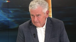 Andreas Mölzer (Bild: krone.tv)