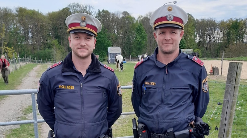 Die Polizisten Kevin Zimmermann und René Litschauer vor der Pferdekoppel, von der die Tiere ausbüxten. (Bild: Polizei Bezirk Horn)