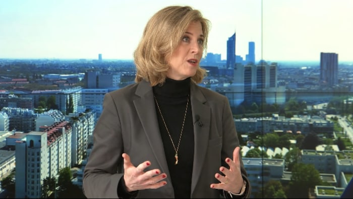 Neos leader Beate Meinl-Reisinger in the krone.tv talk