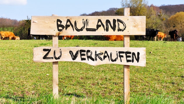 In ganz Österreich ist Bauland gefragter denn je. (Bild: Marco2811 - stock.adobe.com)