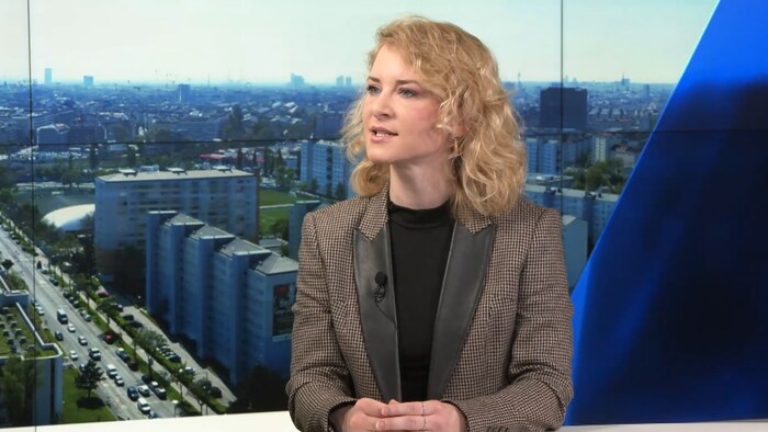 Eva Maria Holzleitner, SPÖ parliamentary group leader on the ÖVP U-committee