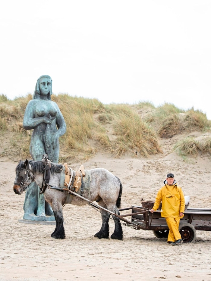Strandidyll: ein Krabbenfischer vor Johann Cretes „The Herring“ in Koksijde.