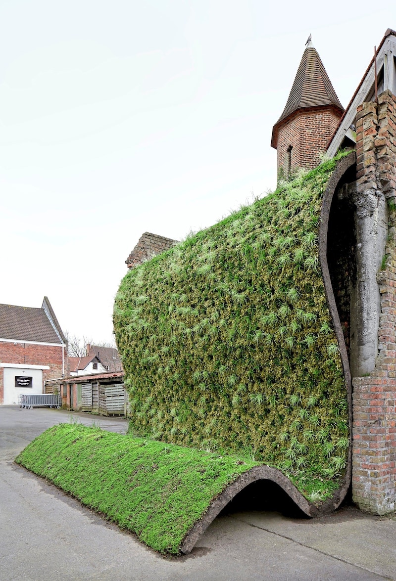 „Under the carpet“ – ein Grünstreifen lässt eine Straße, die es früher einmal gab, neu aufblühen. (Bild: Filip Dujardin)