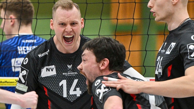 Jan Alexander Berggren jubelt mit Waldviertels Volleyballern über die Chance auf AVL-Bronze! (Bild: GEPA pictures)