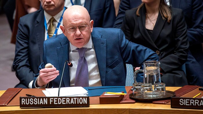 UN Ambassador Vasily Nebenzia speaks of a "cynical trick" by the USA.