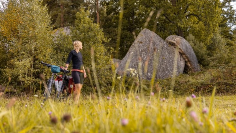 Blockheide Nature Park (Bild: (c) Niederösterreich Werbung / Franziska Consolati)