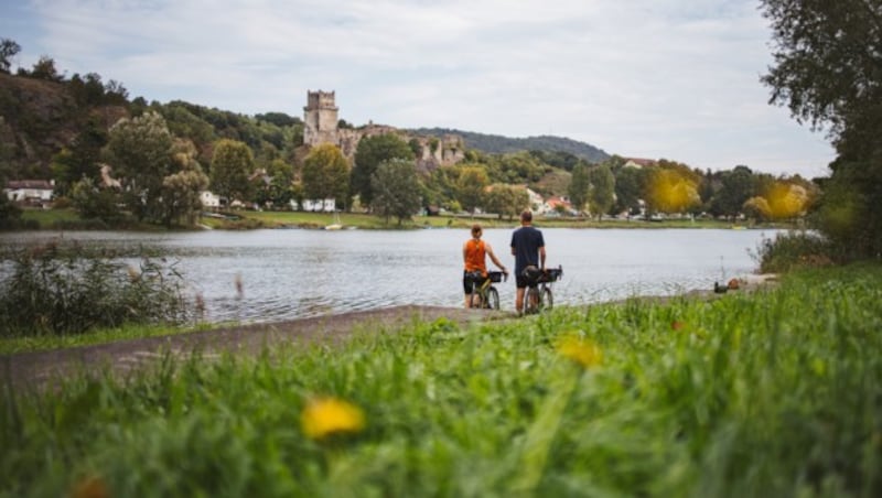 Danube cycle path with a view of Weitenegg. (Bild: © Niederösterreich Werbung/ Franziska Consolati)