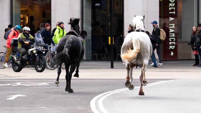 Die Soldaten, die beteiligt waren, erlitten keine bleibenden Schäden.