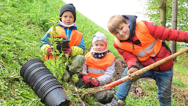 The little ones enjoyed helping out (Bild: Evelyn Hronek/EVELYN HRONEK)