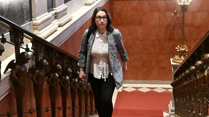 Julia Herr, stellvertretende Klubobfrau