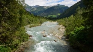 Die Isel und ihre Nebenbäche sind artenreich.