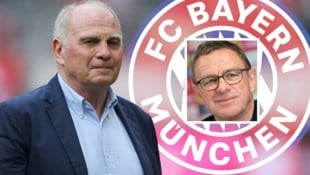 Bayern-Ehrenpräsident Uli Hoeneß, Ralf Rangnick (Bild: APA/GEPA/GEPA, Bayern München, APA/GEORG HOCHMUTH)