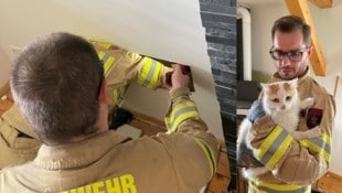 Die Feuerwehr schnitt ein Loch in die Wand, um die Katze zu befreien (Bild: ZOOM Tirol)