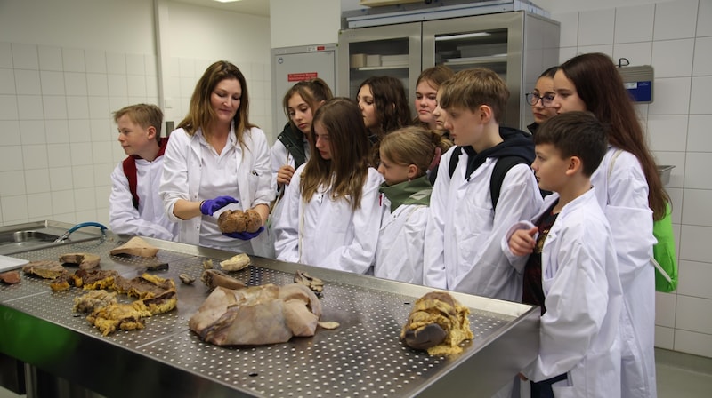 Am Seziertisch: Die Schüler lauschten aufmerksam. (Bild: Tröster Andreas)