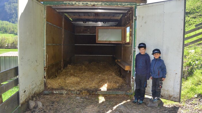Valentin &amp; David open the "night pen" for the "Krone"