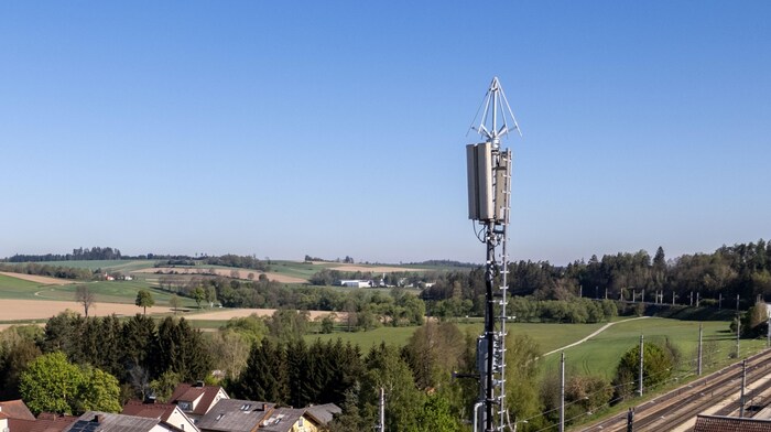 Damit der Storch nicht wieder sein Nest errichtet wurde eine pyramidenförmige Storchenabwehr ...