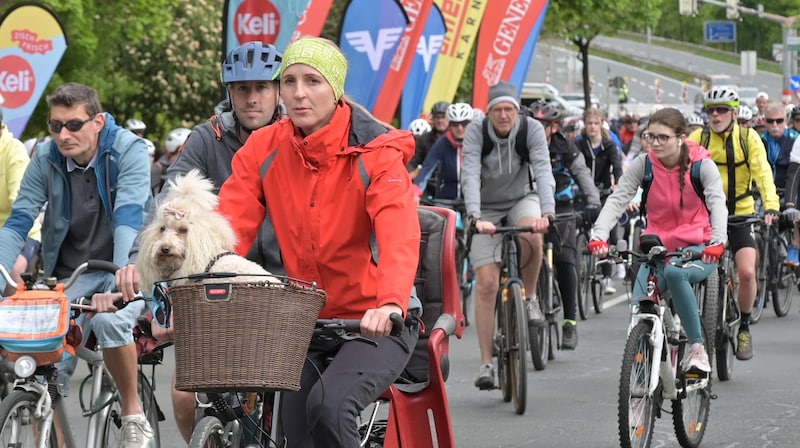 Selbst Vierbeiner genossen den autofreien Tag.  (Bild: EVELYN HRONEK)