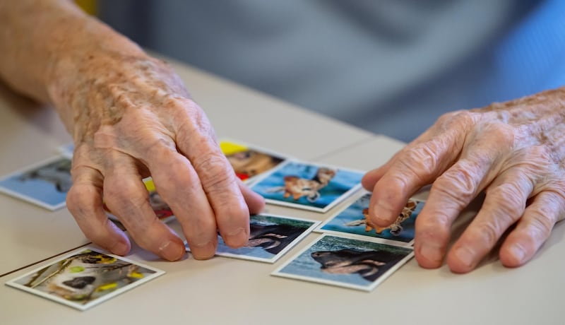 Plätze in Seniorenheimen sind gefragt. Weil es zu wenige gibt, werden rund 80 Prozent der pflegebedürftigen Österreicher zuhause von Angehörigen versorgt. (Bild: Sven Hoppe)