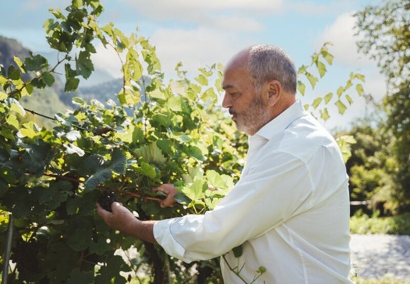 Mathias Scheyer hat sich dem Weinbau verschrieben. (Bild: Patricia Keckeis)