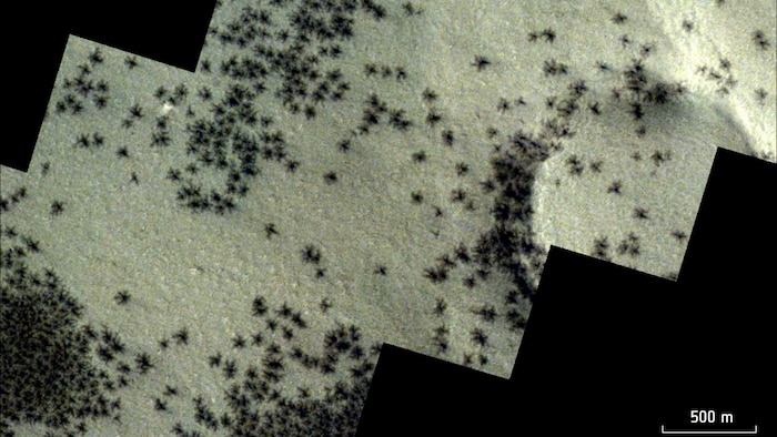 The picture shows dark spots with tendrils that are eerily reminiscent of spiders. They are ...