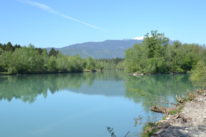 The confluence of the Gail and the Drau