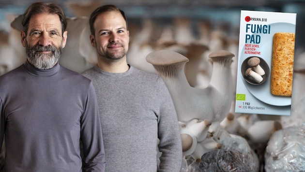 „Wir drückten den Reset-Knopf“, so Hermann und Thomas Neuburger. Ende März 2023 erfolgte der Neustart. Das Verpackungsdesign für das Fungi Pad ist mittlerweile überarbeitet. (Bild: Krone KREATIV/Hermann.Bio (2), Markus Wenzel, Krone KREATIV)