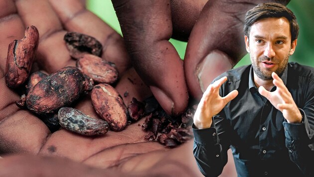 The shortage of cocoa beans is a challenge for food manufacturer Spitz, confirms Walter Scherb. (Bild: Krone KREATIV/Markus Wenzel, REUTERS)