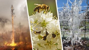 Der April brachte Waldbrände, Sommergefühle und Frost mit sich. (Bild: Krone KREATIV/Landwirtschaftskammer Steiermark, Alois Litzlbauer, POTOGRAPHY MARCUS M)