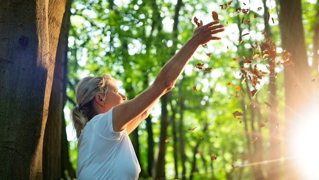 Trees are natural sources of shade. (Bild: stock.adobe.com/stock.adobe.com – www.tanja-esser-auftragsatelier.de)