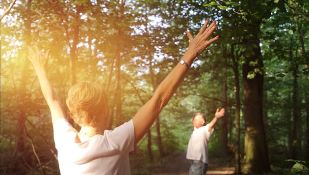 Mini-Urlaub im Holz: Waldbaden klingt etwas seltsam, ist aber gut für die Gesundheit.  (Bild: stock.adobe.com/stock.adobe.com – U. J. Alexander)