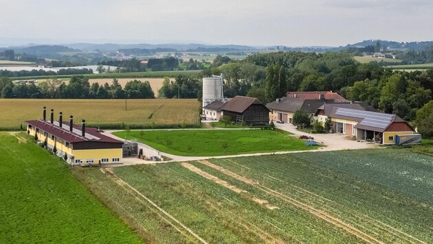 There have been complaints about the stench from a pig farm in Buchkirchen since 2019. (Bild: Einöder Horst)