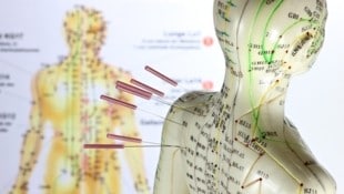 Die Bedeutung von Akupunktur als Behandlungsmethode steigt. (Bild: Bjoern Wylezich – stock.adobe.com)