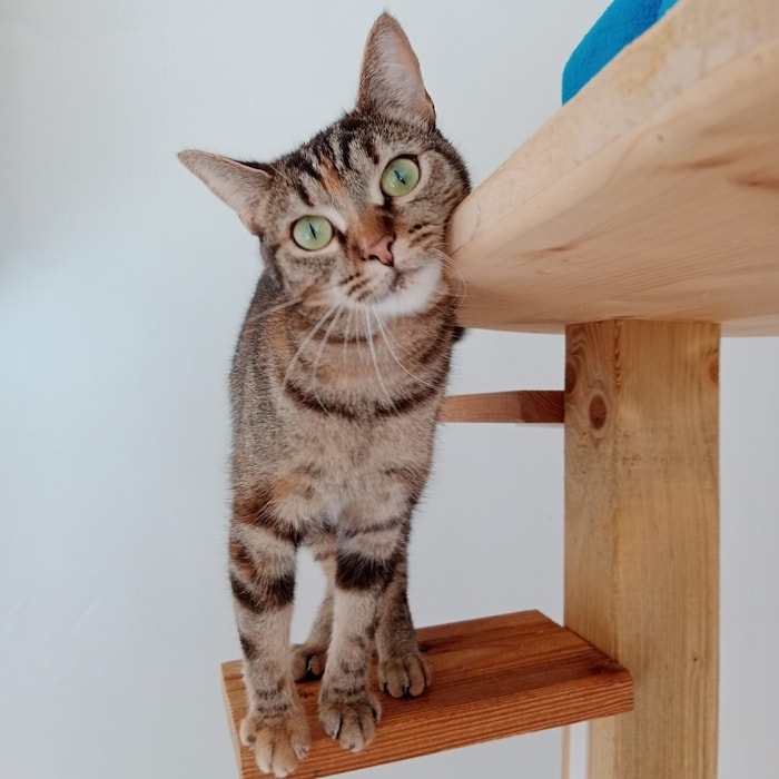 Luna, die Mutige.