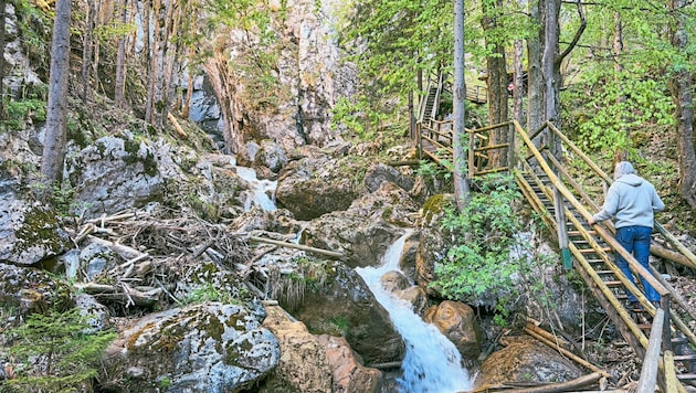 The Bärenschützklamm can soon be entered again. (Bild: Hannes Wallner)