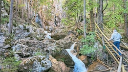 Alpenvereinsobmann Gerhard Jantscher am Beginn der Bärenschützklamm (Bild: Hannes Wallner)