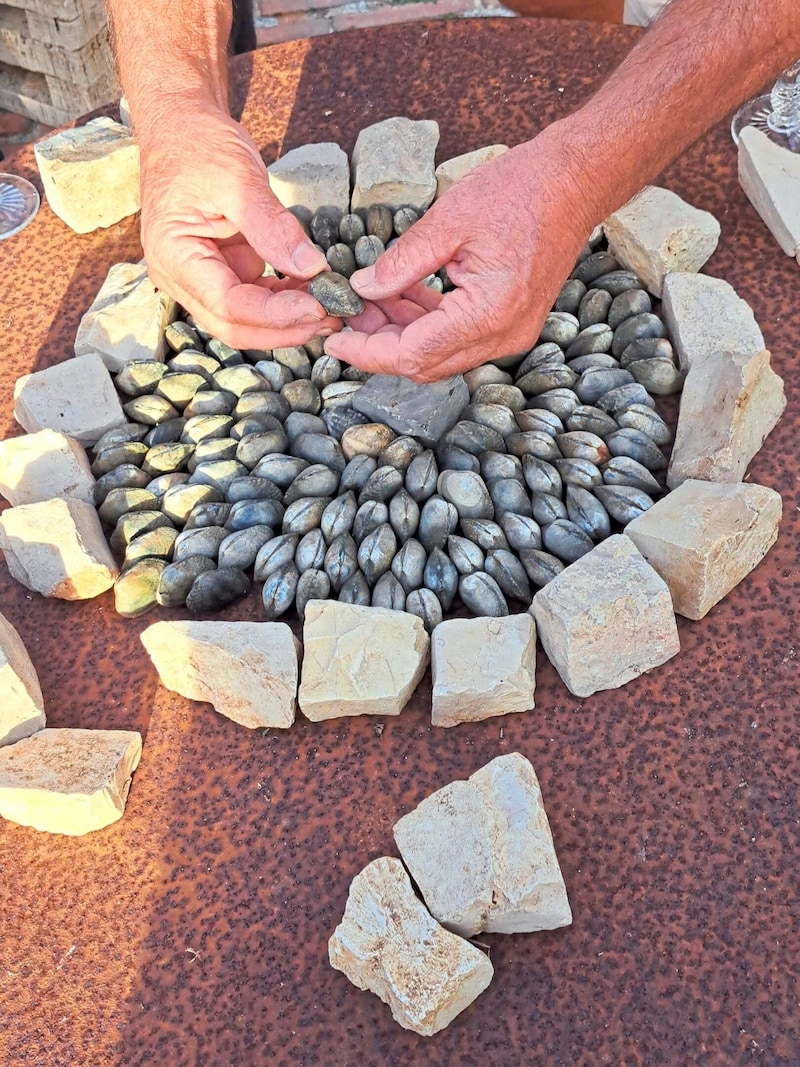 Portugiesisches Muscheldorf bauen in der Casa Modesta. (Bild: Jasmin Gaderer)