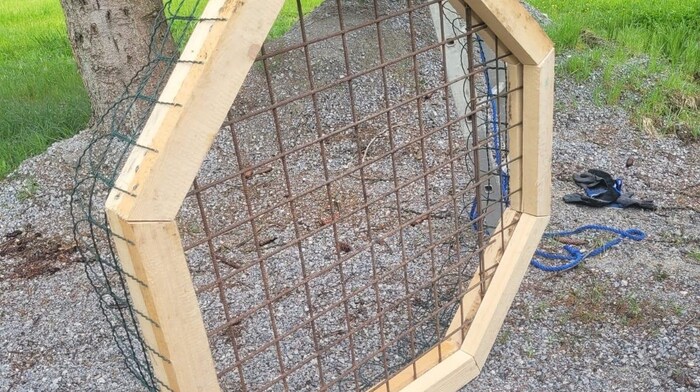 Anrainer haben dem verstoßenen Storchenpaar sofort ein behelfsmäßiges Notquartier gebastelt und ...