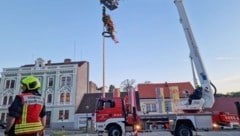 Zum Maibaum-Einsatz in Allentsteig rückten auch Feuerwehr-Kameraden aus Zwettl mit einem Hubsteiger an.  (Bild: Doku NÖ)