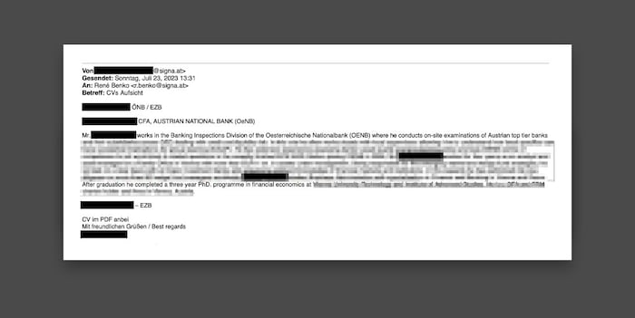 Benko ließ sich die Lebensläufe der Bankenprüfer besorgen.