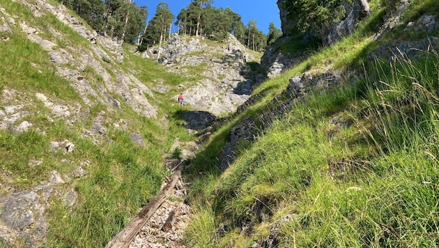 Am Ende dieser Rinne unter der Seebergspitze fand ein Wanderer die Leichenteile. (Bild: ZOOM Tirol)