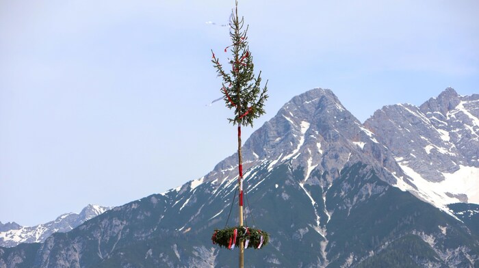 This magnificent tree stands in Saalfelden. 