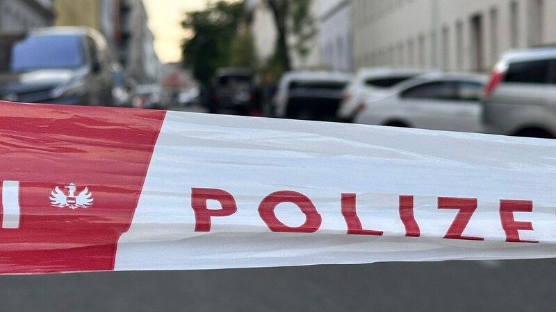 Three to four suspects had fled in an unknown direction. (Bild: krone.tv)