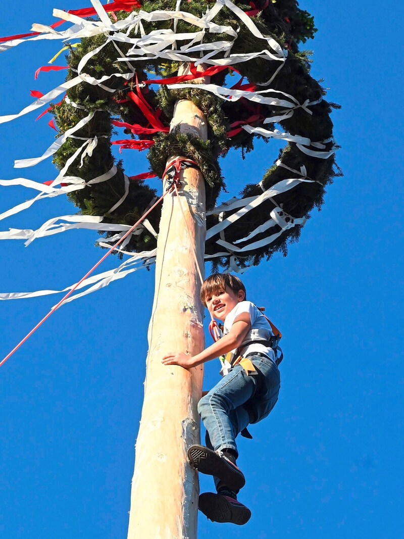 In Rosegg kraxeln schon die Kleinsten auf den Maibaum. (Bild: Sobe Hermann/Hermann Sobe )