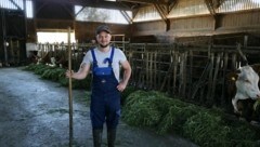 Florian R. (29) bei der Fütterung seiner Milchkühe im Stall, um die er sich große Sorgen macht. Er befürchtet, dass sie durch Schwanen-Kot erkranken könnten. (Bild: Mader Klaus Fotografie)