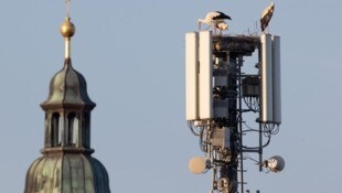 In Straßwalchen baute A1 die Spitze eines Sendemastes 2021 zu einem wohligen Storchenheim aus. Dann gab es Nachwuchsfreuden (Bild: A1/APA/Neumayr)
